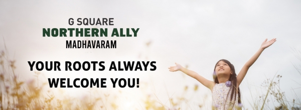 G Square Northern Ally