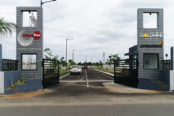 Urban Tree Gold Mine