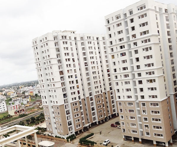 Alliance Orchid Springs